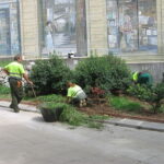 Treballadors de Parcs i Jardins en plena feina