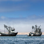 Vaixells de Pesca