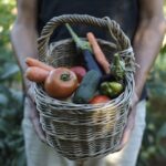 Cistella amb productes del camp