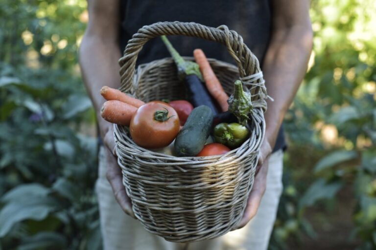 Cistella amb productes del camp