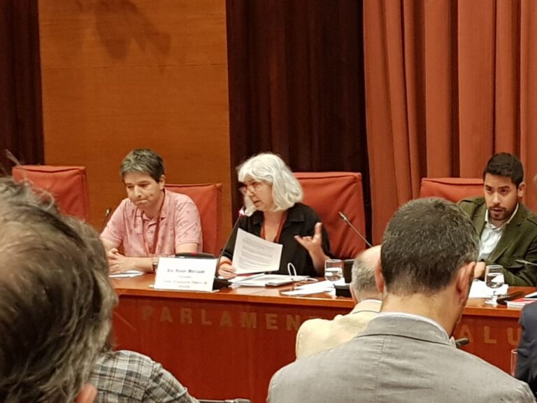 Roser Mercadé, presidenta del comitè d'empresa de TV3, es dirigeix als diputats de la Comissió de Control de la CCMA