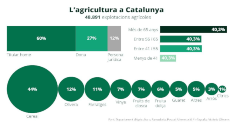 Radiografia del camp català gràfic Victòria Oliveres