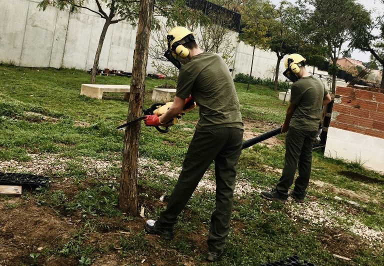 Alumnat d'un Grau Bàsic d'Agrojardineria i Composicions Florals. | Foto: GVA.